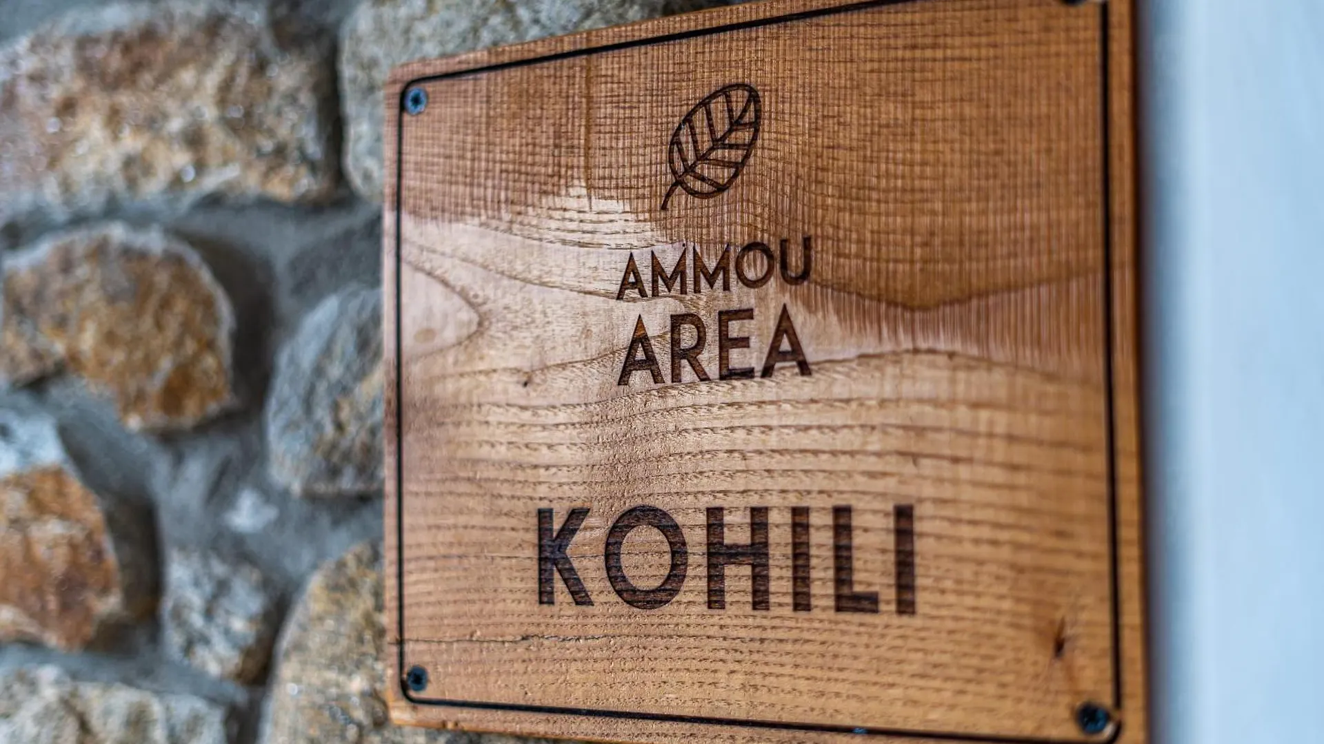 Ammou Area Villa Ammouliani 0*,